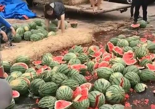 陇南网红吃瓜满床跑,揭秘网络红人的日常生活