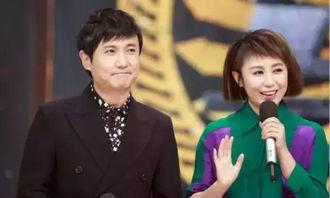 记者爆料沈腾马丽视频,幕后故事引热议  第1张